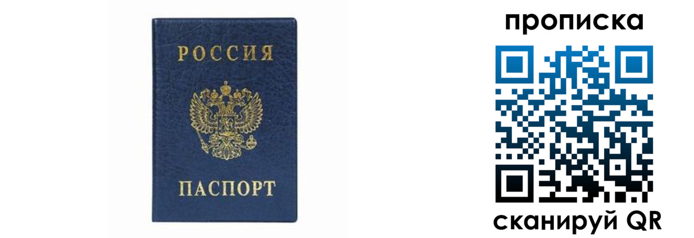 временная регистрация поиск в Балашихе